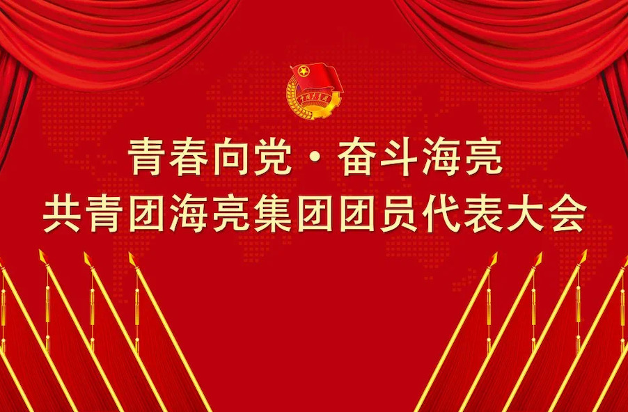 青春向党 · 奋斗海亮丨共青团bat365电子游戏团员代表大会召开